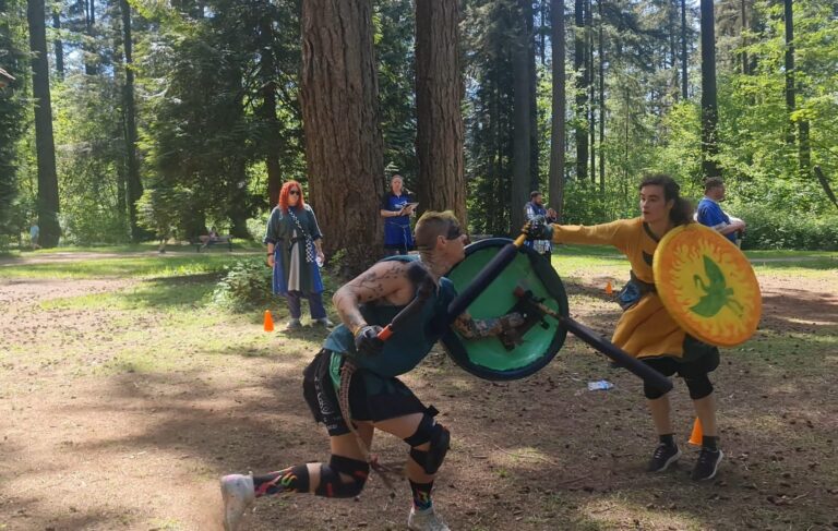 Two people with swords and shields fighting